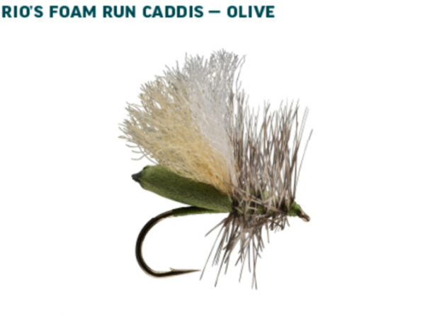 RIO Dry Fly Assortment Caddis Olive